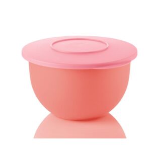 INSPIRATIONS BOWL 2,5L