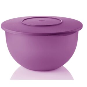 INSPIRATIONS BOWL 7L