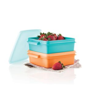 SNACK SET 800 ml x 2